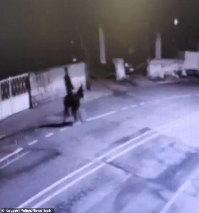 Bizarre Jewelry Heist in Kayseri: 26-Year-Old Suspect Uses Forklift and Donkey to Steal Gold