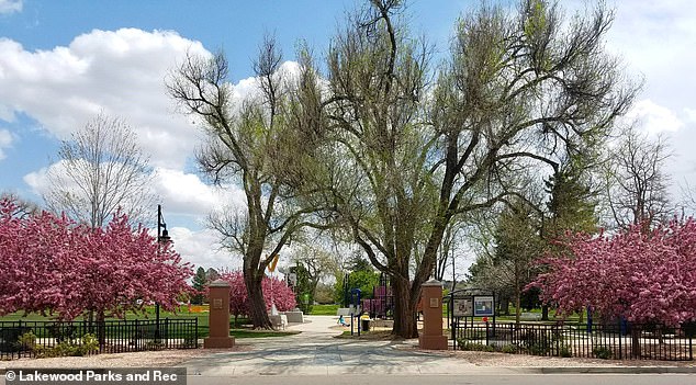 Once-quiet Lakewood Neighborhood Transforms into Homeless Crisis Epicenter as Residents Feel Abandoned by Officials