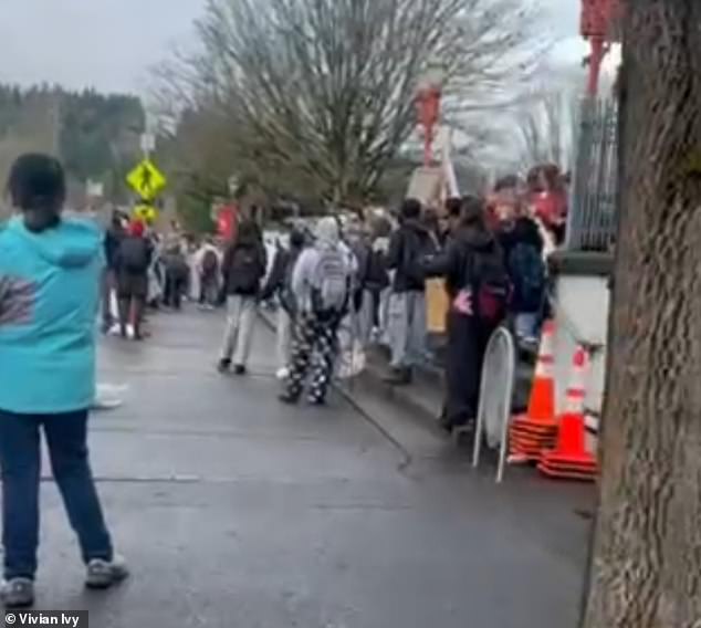 Schoolgirls' Violent Attack on Mother During Anti-ICE Protest in Issaquah
