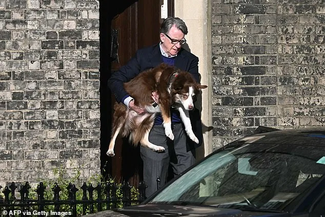 Lord Peter Mandelson Makes Rare Public Appearance Amid Epstein Scandal Intensifies