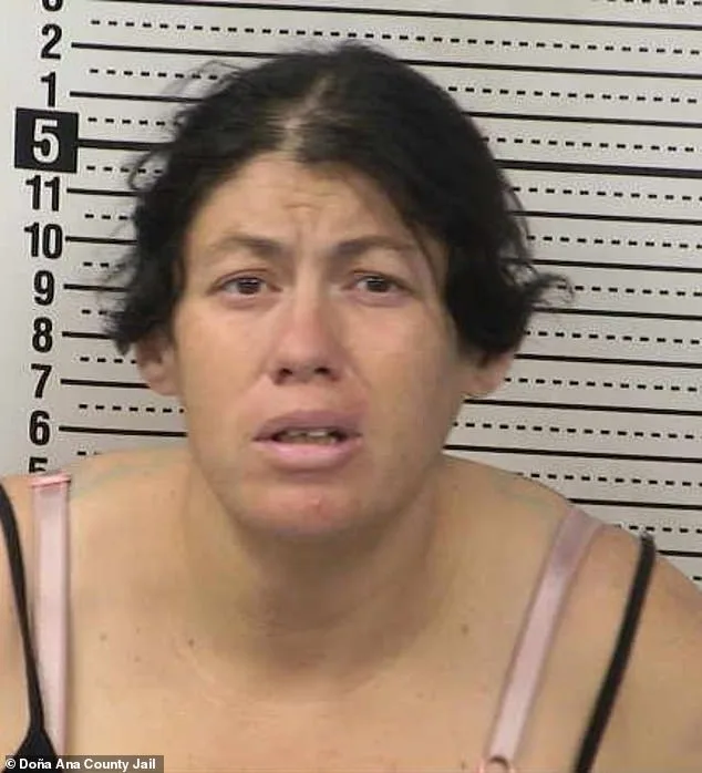 Newborn Found Dead in Portable Toilet Tank; Mother Charged with Felony Child Abuse in New Mexico