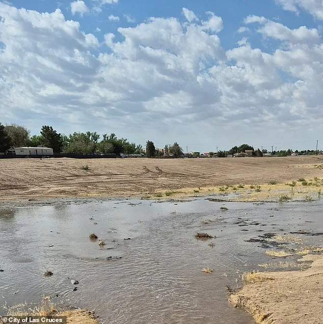 Newborn Found Dead in Portable Toilet Tank; Mother Charged with Felony Child Abuse in New Mexico