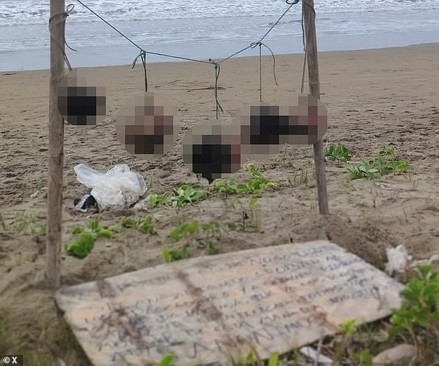 Gang Violence Escalates in Ecuador as Severed Heads Found Near 'Stealing is Forbidden' Sign