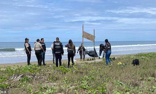 Gang Violence Escalates in Ecuador as Severed Heads Found Near 'Stealing is Forbidden' Sign