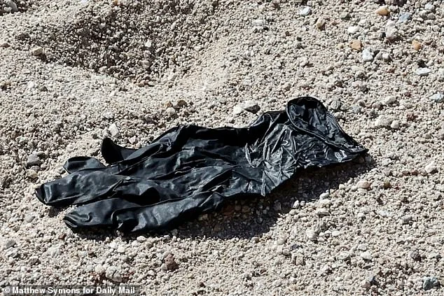 DNA Labs International: Pioneering Forensic Tech to Solve America's Most Perplexing Crimes