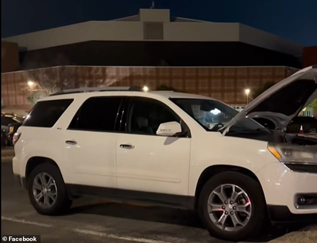 Groundhog Damages University of Arkansas Student's SUV, Sparking Costly Predicament