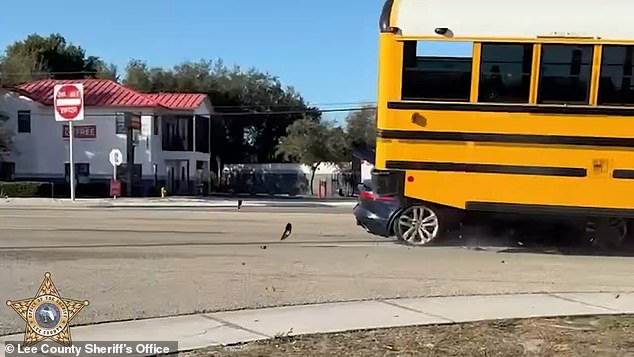 Miraculous Escape as Jaguar Slams Into Empty School Bus in San Carlos Park