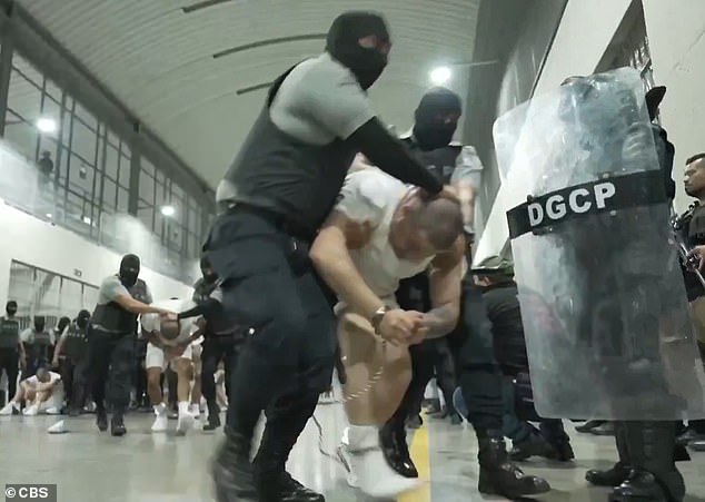 Bari Weiss Withdraws from UCLA Lecture Amid Security Concerns, Sparking Controversy