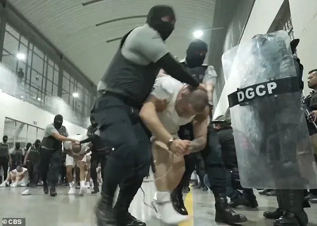 Bari Weiss Withdraws from UCLA Lecture Amid Security Concerns, Sparking Controversy