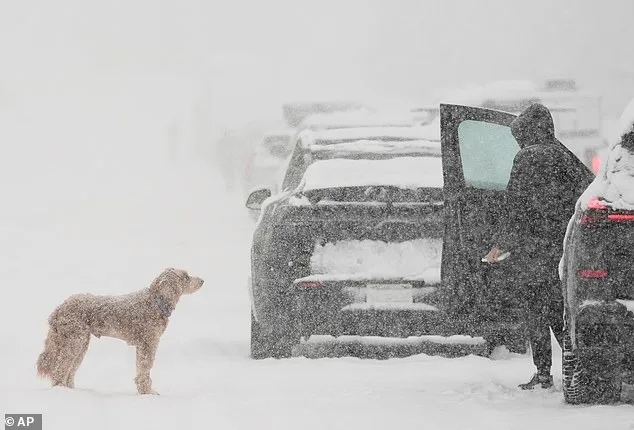 Colossal Winter Storm Sweeps Across U.S., Threatening 27 States with Paralyzing Snowfall and Icy Roads