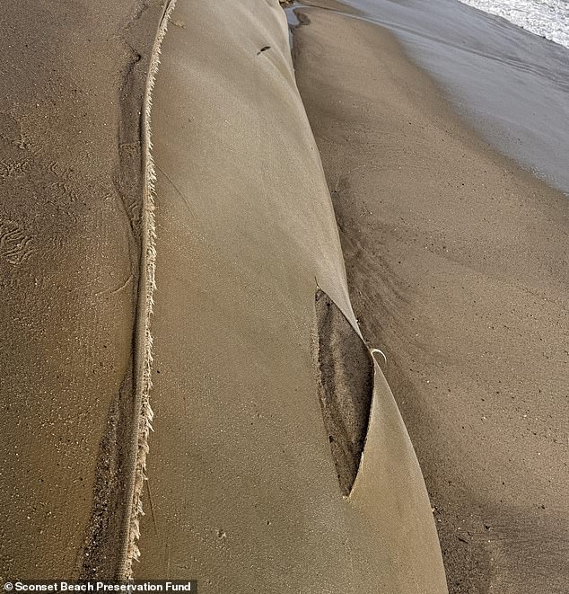 Nantucket Geotubes Damaged Deliberately, $10,000 Reward Offered for Environmental Crime