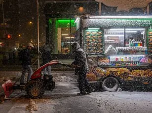Historic Blizzard Paralyzes East Coast as 'Weather Bomb' Sparks Travel Chaos and Record Flight Cancellations