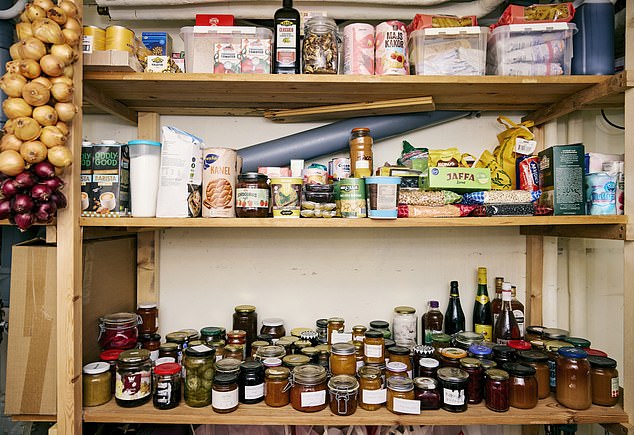 A Quiet Revolution on Gotland: A Family's Survival Prep Against War's Shadow