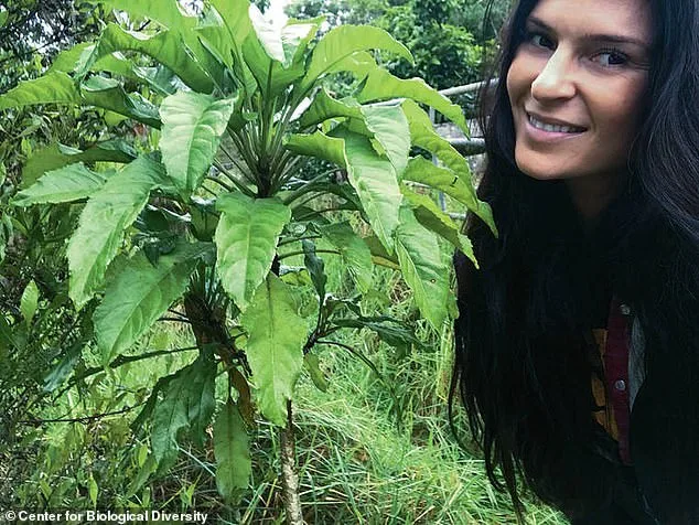 Hawaii Residents Sue State Over Hotel Project Alleging Environmental and Cultural Harm