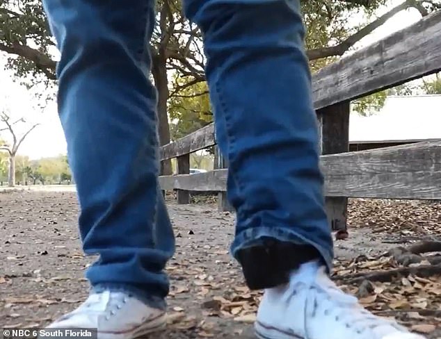 South Florida IT Specialist Detained and Sent to Controversial 'Alligator Alcatraz' Amid Legal Battle