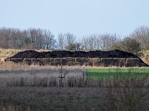 Andrew Mountbatten-Windsor's Unusual Shopping Dilemma: Waitrose Drivers Reportedly Reluctant to Deliver to Sandringham Home