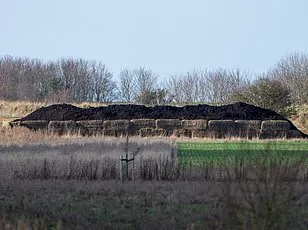 Andrew Mountbatten-Windsor's Unusual Shopping Dilemma: Waitrose Drivers Reportedly Reluctant to Deliver to Sandringham Home