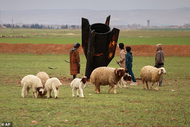 Iranian Missile in Sheep Field: Stark Reminder of Escalating Regional Conflict