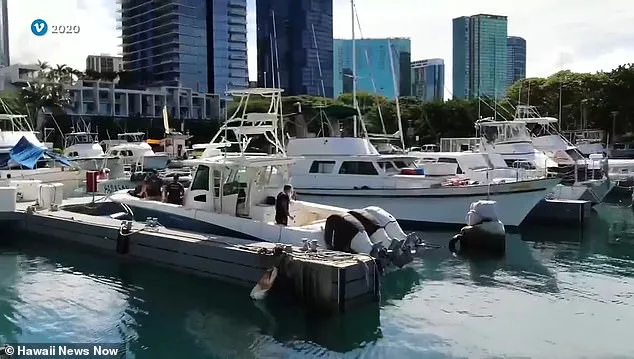 Convicted Crime Boss Accused of Orchestrating His Own Death to Thwart $20M Asset Seizure