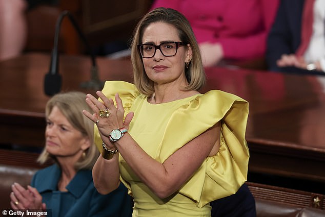 Krysten Sinema Admits to Affair with Bodyguard in Alienation of Affection Lawsuit