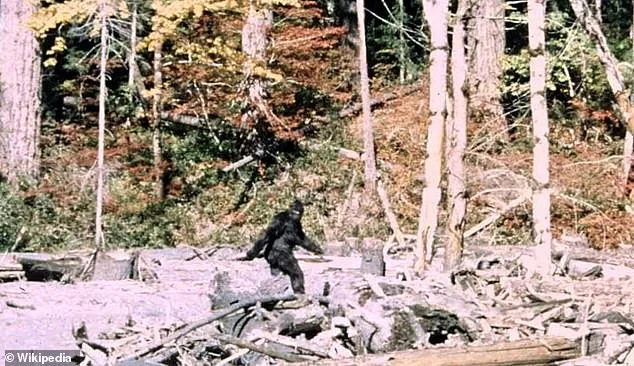 Ohio Witnesses Unprecedented Bigfoot Surge: Eight Sightings in Four Days Spark Debate After Five-Decade Hiatus