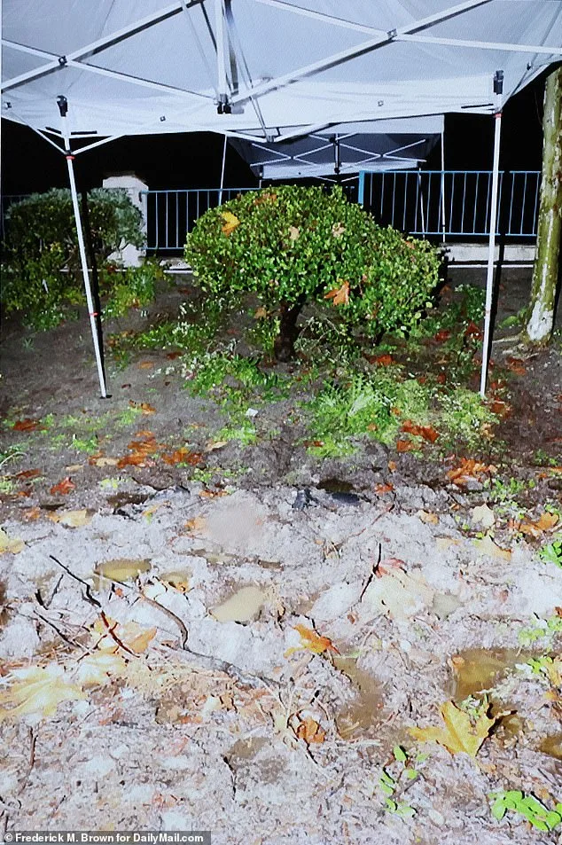 Sam Woodward's 'Diary of Hate' Exposes Brutal Murder of Gay Jewish Student