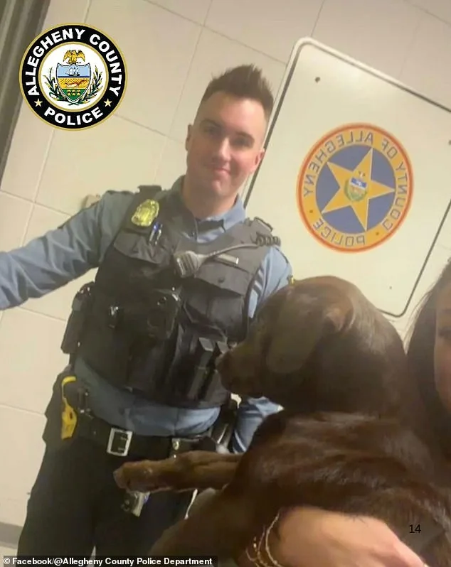 Abandoned Puppy at Pittsburgh Airport: Owner Charged with Animal Cruelty