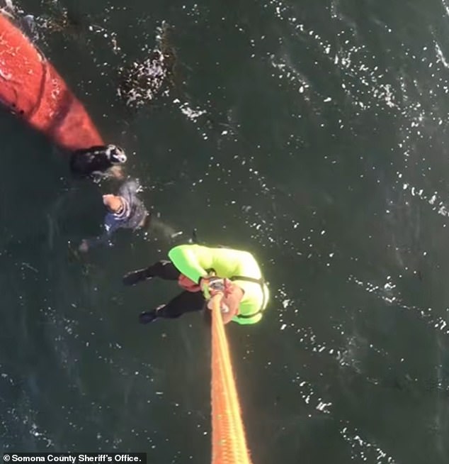 Kayaker Brigitte Manspeaker Drowns in Tomales Bay After Sudden Wind Capsizes Kayak