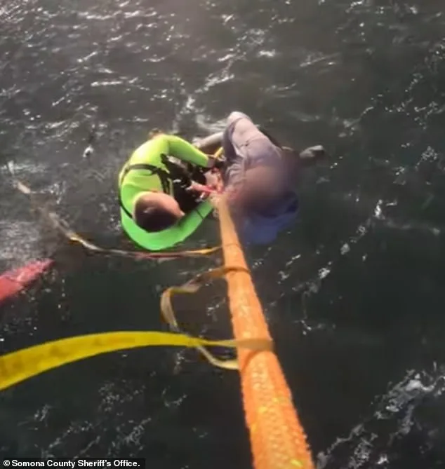 Kayaker Brigitte Manspeaker Drowns in Tomales Bay After Sudden Wind Capsizes Kayak