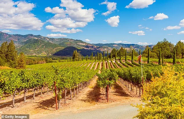 Lindsay Hoopes Ordered to Pay $4 Million After Napa County Legal Battle Over Winery Regulations