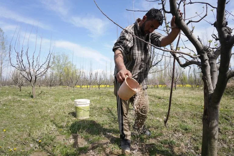 Farmers' Crisis: Rising Costs Threaten Survival and Dreams