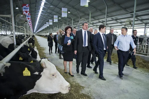 Hungary's Farming Legacy: Balancing Local Control and European Tensions