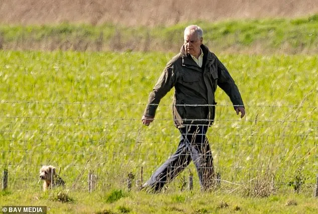 Prince Edward Visits Estranged Brother Andrew Amid Royal Speculation and Epstein Fallout