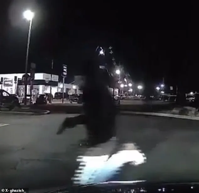 Mass Shooting at New Jersey Chick-fil-A: One Killed, Six Injured in Chaotic Attack