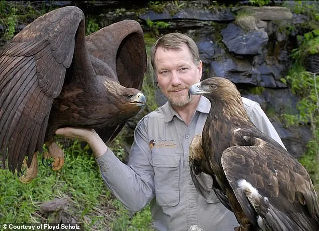 Vanishing into the Wild: Floyd Scholz's Unlikely Redemption After the 1980 Boycott