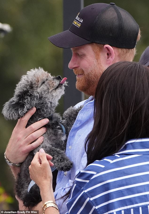 Britons reject Sussex titles for profit and question William's finances