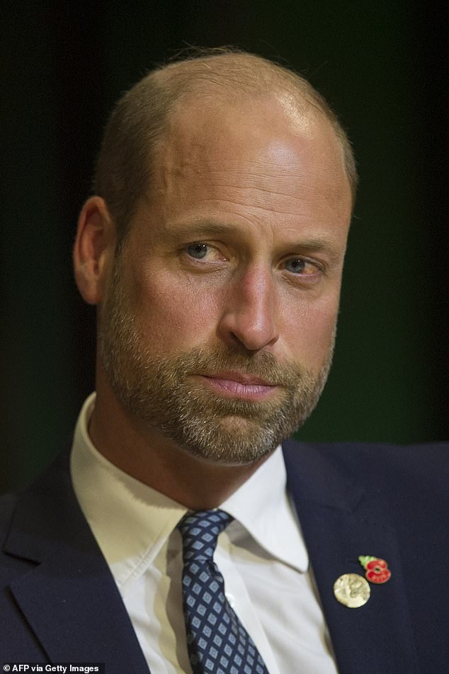 Britons reject Sussex titles for profit and question William's finances