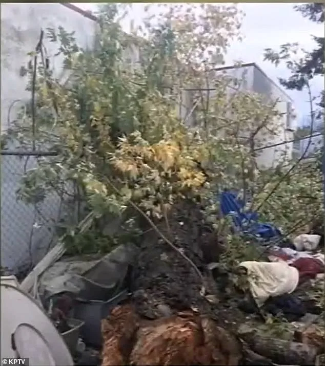 Family Settles $29M Lawsuit Over 2021 Tree-Planting Death for $1.2M Legal Fees