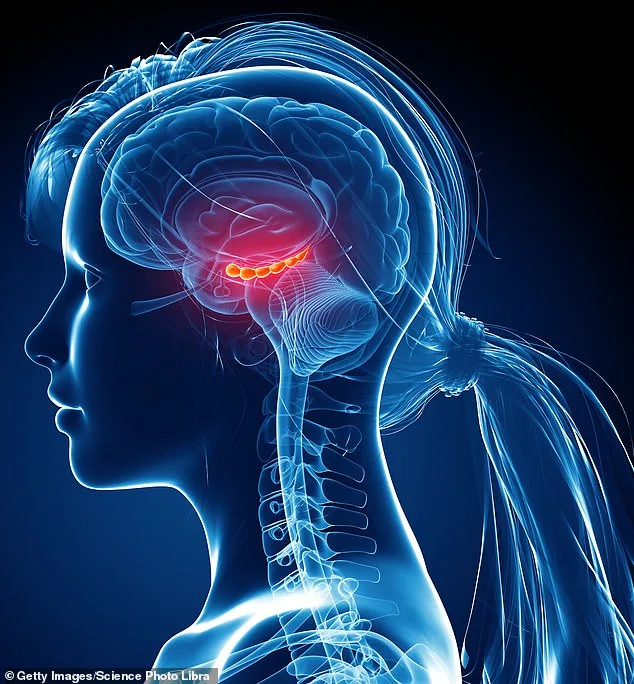 Mind Palaces for Memory: A Mental Drilling Technique