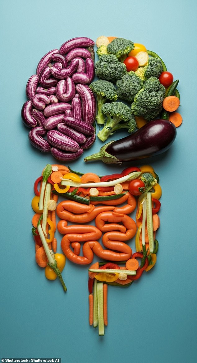 New probiotic supplement aims to counteract antibiotic-induced digestive side effects.