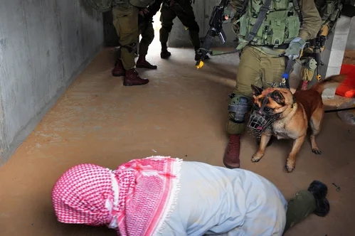 Hundreds of detained pro-Palestinian activists deported after flotilla interception