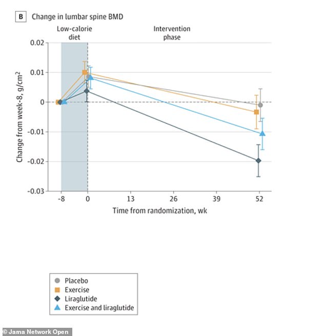 GLP-1 drugs linked to increased fracture risk and bone loss.