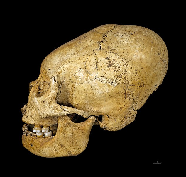 New DNA tests fail to confirm alien origins of ancient Peruvian mummies.