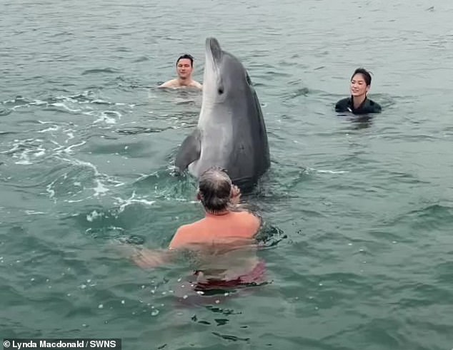 Young Dolphin Lingers Near French Coast Despite Scientists' Warnings