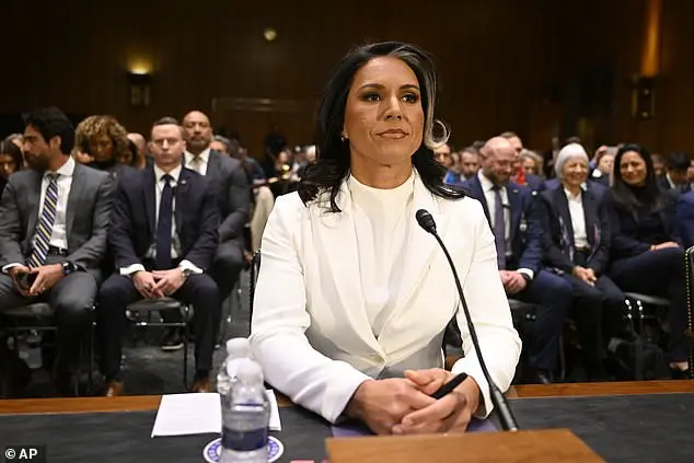 Tulsi Gabbard's Confirmation Hearing: A Spotlight on Her Past Statements and Actions