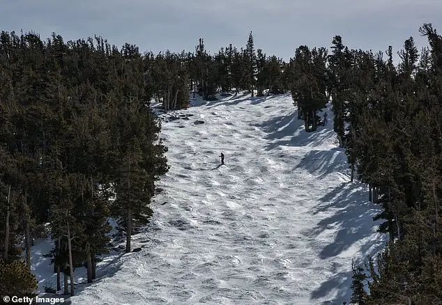 Deaf Snowboarder's Tragic Death at Heavenly Mountain Resort