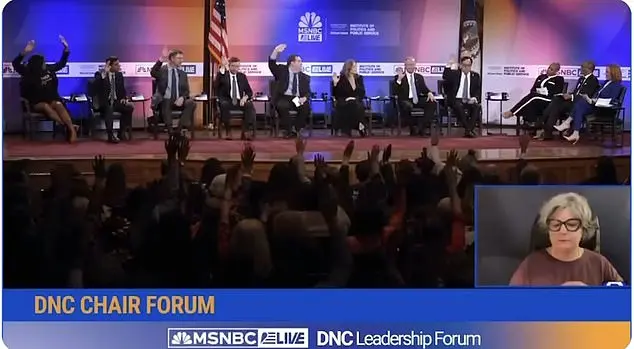 DNC Candidates Discuss Race and Gender in 2024 Election Loss