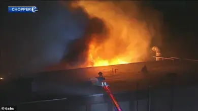 Firefighters Battle Massive Warehouse Fire in Abington Township, Pennsylvania