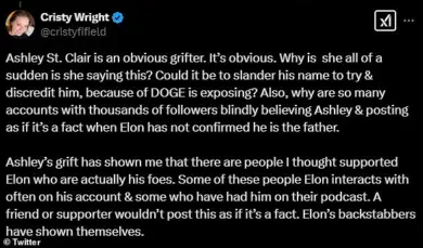 MAGA Influencers React to Elon Musk Fatherhood Revelation