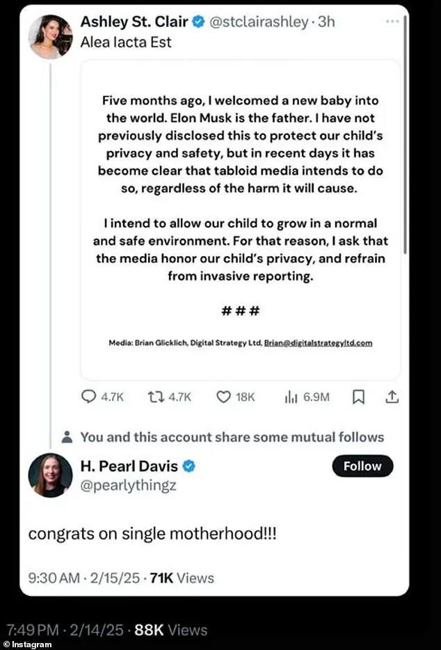 MAGA Influencers React to Elon Musk Fatherhood Revelation